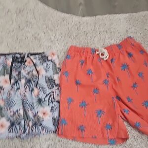 Floral and Palm Tree Print Shorts Set